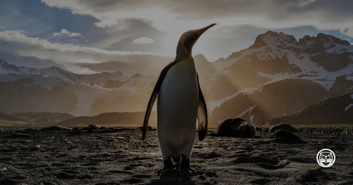 Linux Hardening with CIS Controls