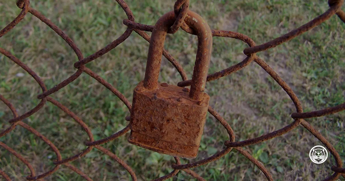 Rust for Security Engineers